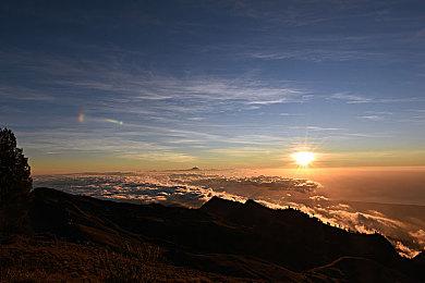 搞怪游戏《持枪松鼠》今秋登陆PS5、XSX和PC